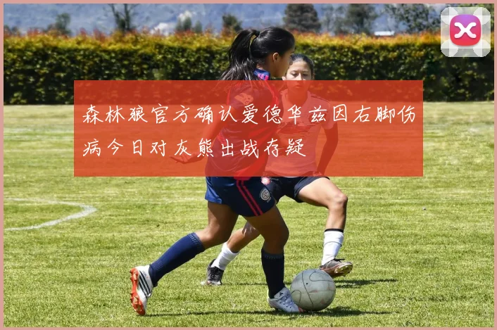 森林狼官方确认爱德华兹因右脚伤病今日对灰熊出战存疑