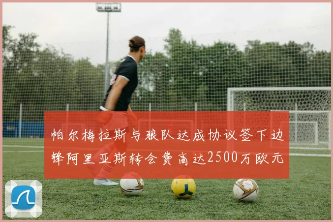 帕尔梅拉斯与狼队达成协议签下边锋阿里亚斯转会费高达2500万欧元
