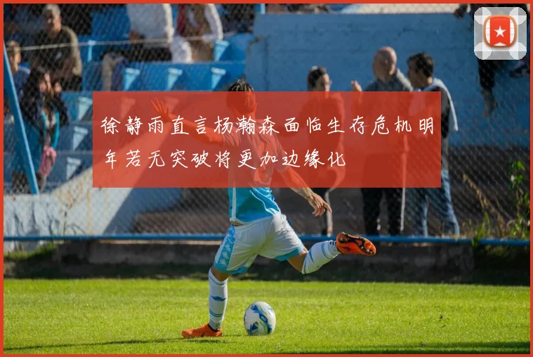 徐静雨直言杨瀚森面临生存危机明年若无突破将更加边缘化