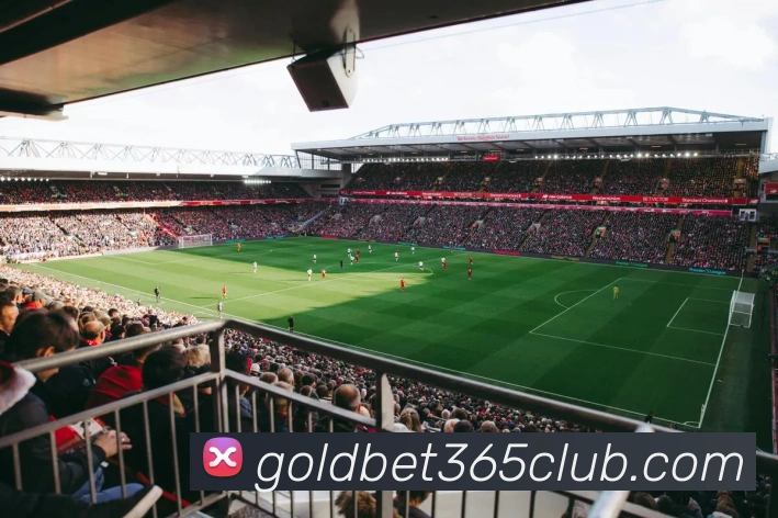 金色体育品牌故事